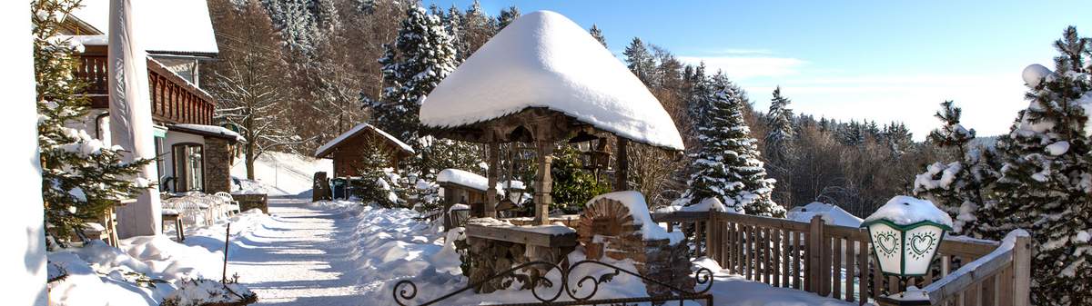 Winterzauber auf der Eidenberger Alm